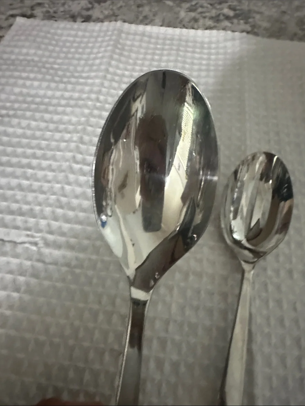 Stainless Stainless Steel Serving Spoons - Set of 2